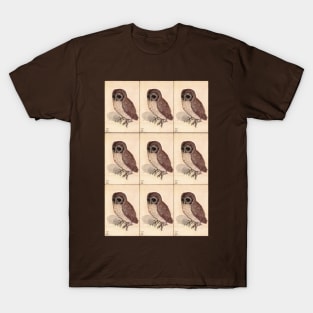 Little Owl by Albrecht Dürer T-Shirt